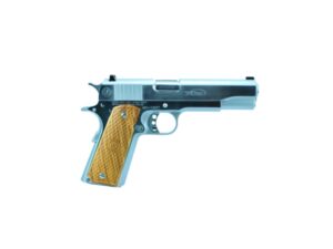 GOVERNMENT 1911 45ACP CHRM 8+1