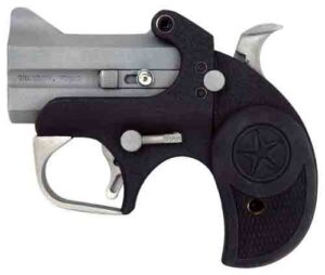 BACKUP 45ACP SS/BLK 2.5" FS
