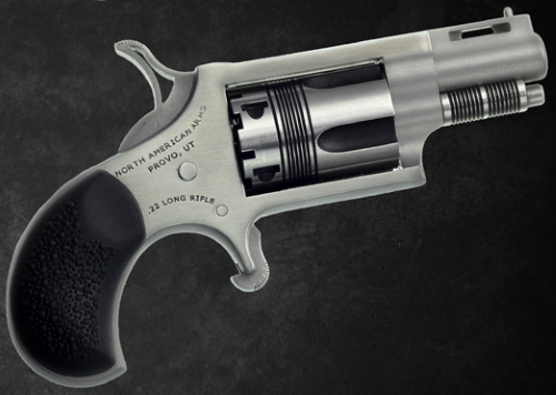North American Arms THE WASP 22LR REV 1-1/8″ SS NAA-22LR-TW